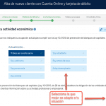 Abrir cuenta BBVA paso 8: Actividad económica